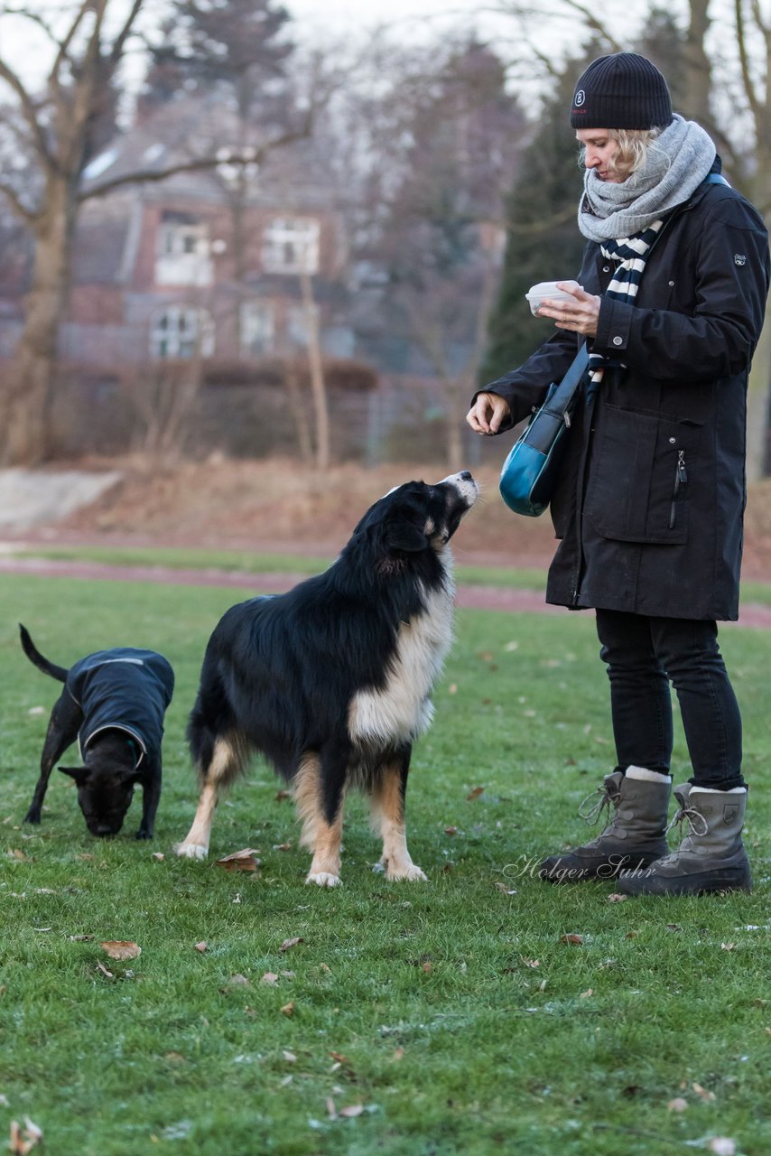 Bild 94 - Hundeshooting